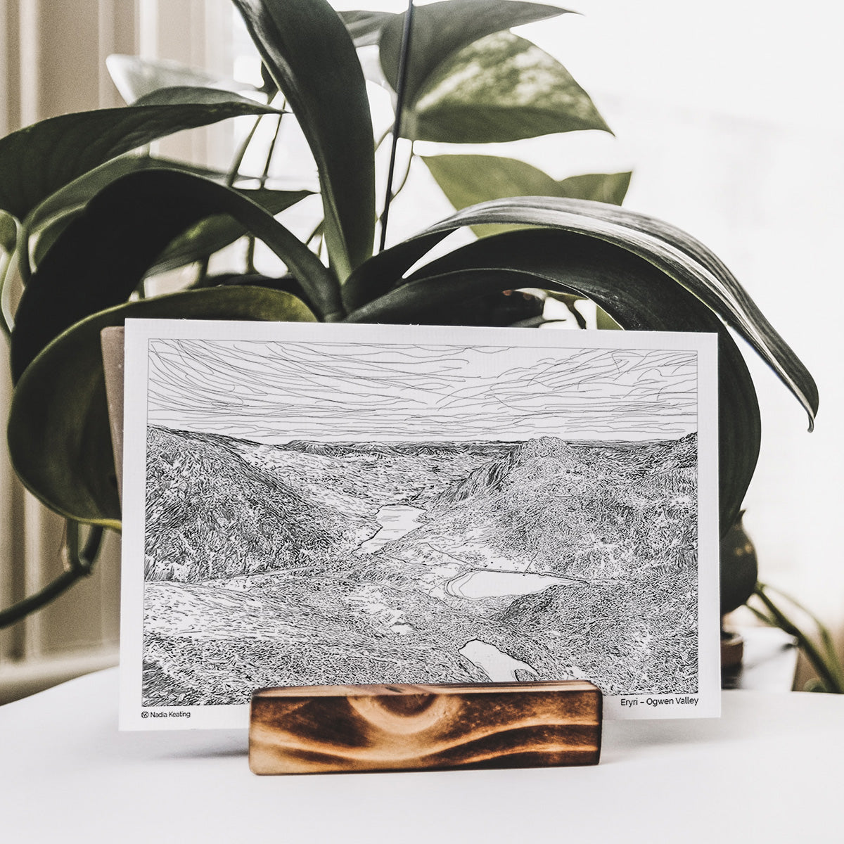 Eryri Ogwen Valley - Art Print